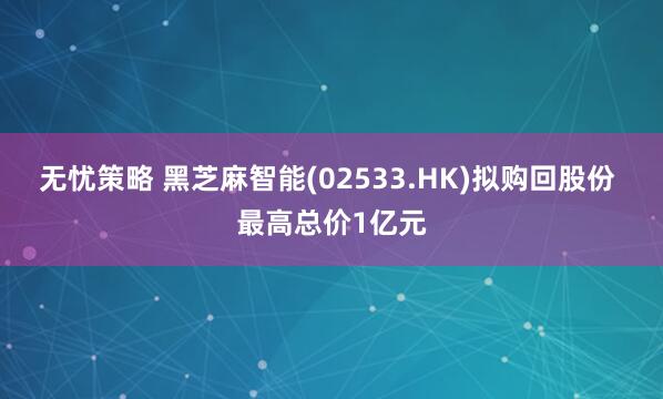 无忧策略 黑芝麻智能(02533.HK)拟购回股份 最高总价1亿元