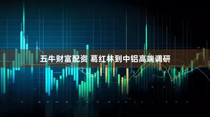 五牛财富配资 葛红林到中铝高端调研